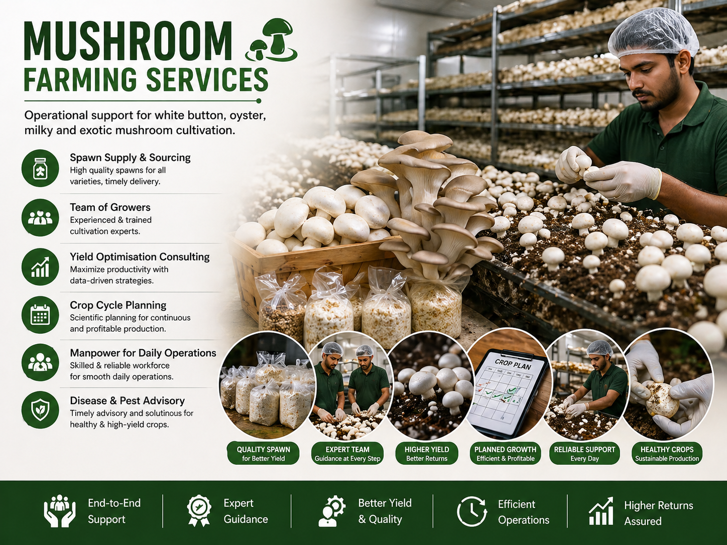 Mushroom Farming